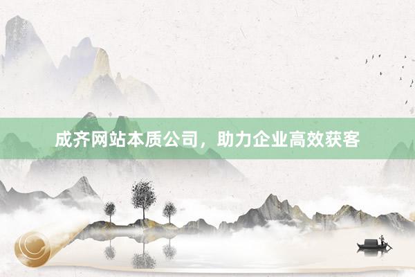 成齐网站本质公司，助力企业高效获客